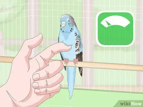 Image titled See if Your Pet Budgie Is Sick Step 9