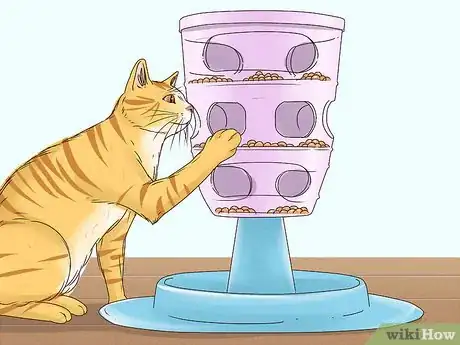 Image titled Get a Cat to Stop Meowing Step 4