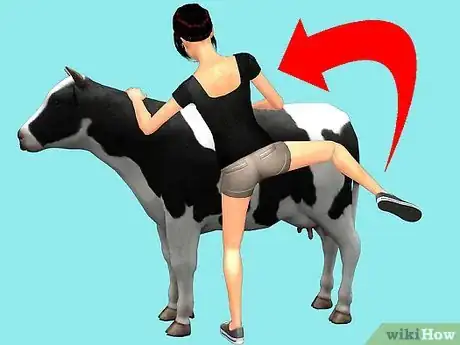 Image titled Train a Cow to be Ridden Step 4