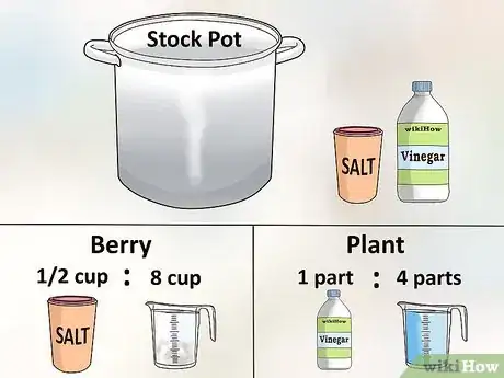 Image titled Set Tie Dye Step 1