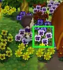 Get Blue Roses and Purple Pansies in Animal Crossing: New Leaf