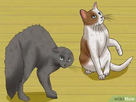 Image titled Make Your Cat Stop Attacking You Step 9