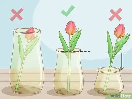 Image titled Care for Fresh Cut Tulips Step 5