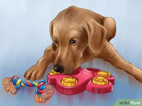 Image titled Give Your Dog Healthy Attention Step 10