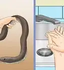 Remove Duct Tape from a Snake