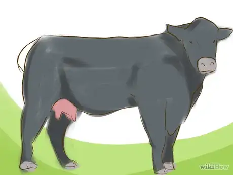 Image titled Identify Black Angus Cattle Step 2.png