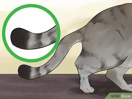 Image titled Identify a Li Hua Cat Step 6