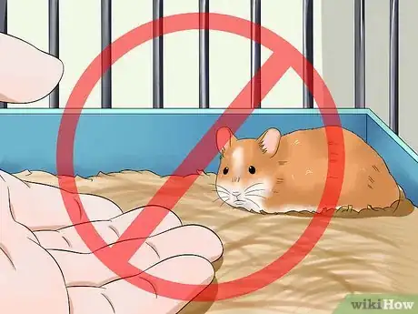 Image titled Make Your Hamster Trust You Step 5