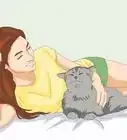 Get Your Cat to Know and Love You