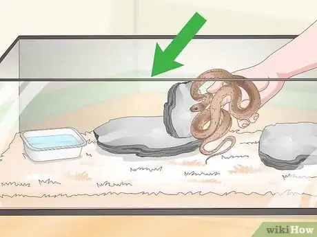 Image titled Get Rid of Mites on Snakes Step 15
