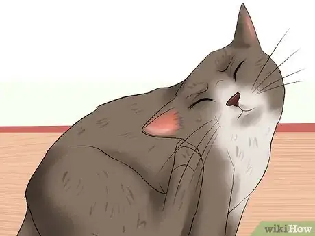 Image titled Know if a Cat Is Stressed Step 5