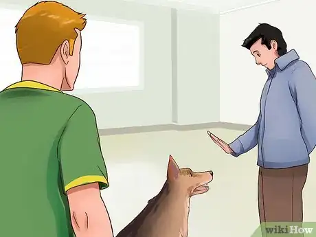 Image titled Keep Your Dog from Chasing Cats Step 23