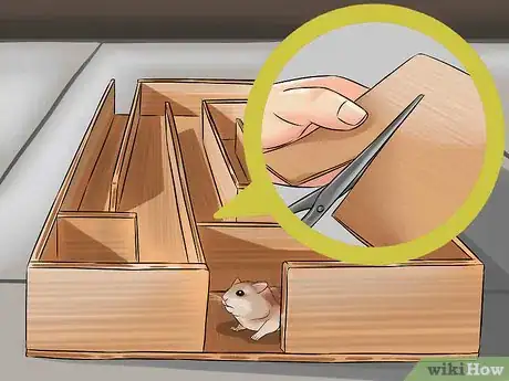 Image titled Have Fun With Your Hamster Step 19