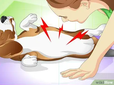 Image titled Cure a Dog's Stomach Ache Step 12