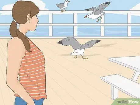 Image titled Deal with Aggressive Seagulls Step 2