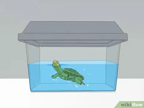 Image titled Care for a Red Eared Slider Turtle Step 13