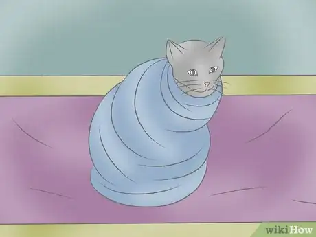 Image titled Wrap a Cat Step 11