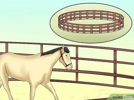Image titled Teach Your Horse to Lunge Step 8