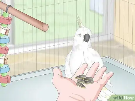 Image titled Take Care of Cockatoos Step 7