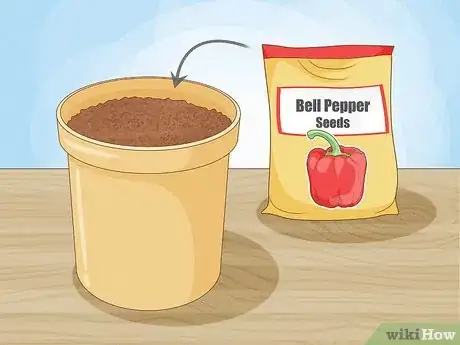 Image titled Grow Bell Peppers Step 1