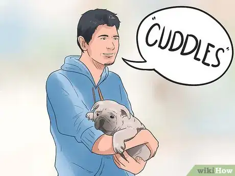Image titled Name Your New Puppy or Dog Step 12