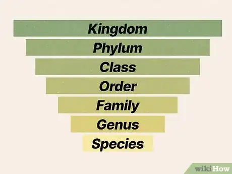 Image titled Read a Cladogram Step 15