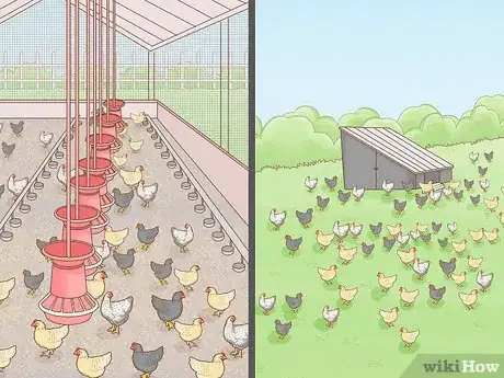 Image titled Start a Chicken Farm Step 5