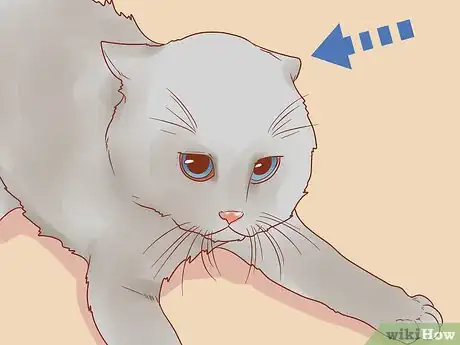 Image titled Know if Your Cat Is Afraid of Something Step 2