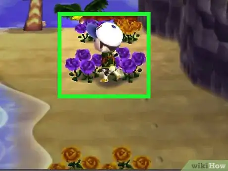 Image titled Get Blue Roses and Purple Pansies in Animal Crossing_ New Leaf Step 1