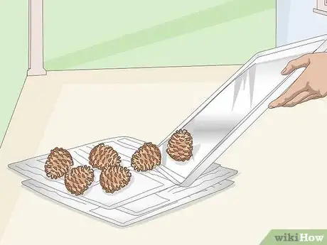 Image titled Clean Pine Cones Step 11