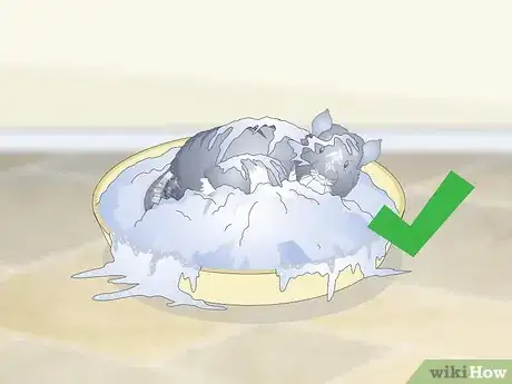 Image titled Care for Chinchillas Step 18