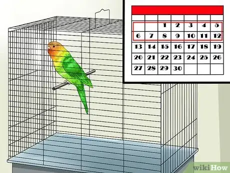 Image titled Tame Your Budgies Step 1