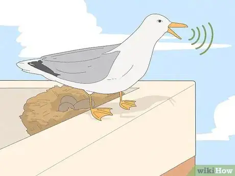 Image titled Deal with Aggressive Seagulls Step 7