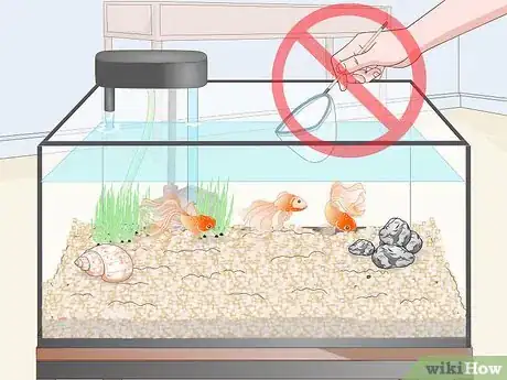 Image titled Clean Fish Tank Rocks Step 6