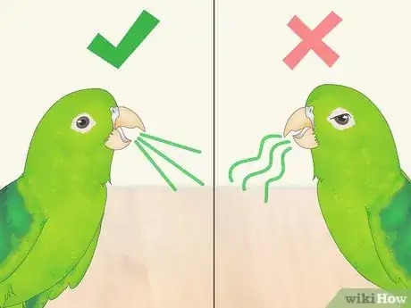 Image titled Interact with Your Parrotlet Step 10