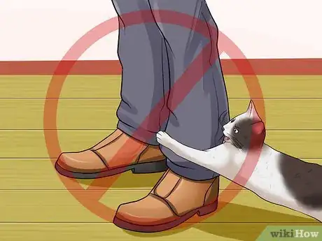 Image titled Make Your Cat Stop Attacking You Step 4