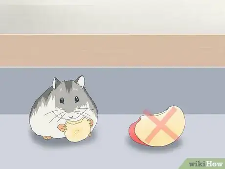 Image titled Feed Dwarf Hamsters Step 10