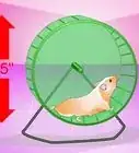 Make Your Hamster Live Longer