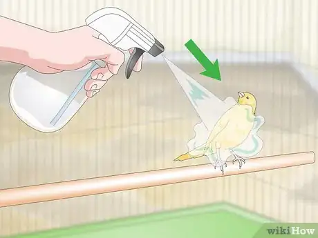 Image titled Keep a Canary Groomed Step 9