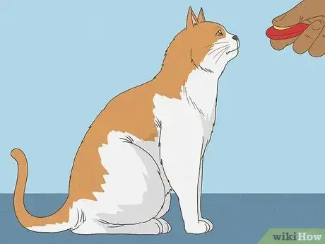 Image titled Teach Your Cat to Do Tricks Step 9