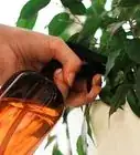 Make Apple Cider Vinegar