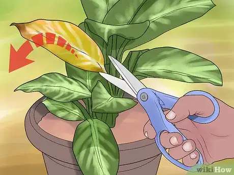 Image titled Remove Brown Tips From the Leaves of Houseplants Step 2