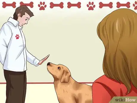 Image titled Get Dogs to Stop Barking Step 10