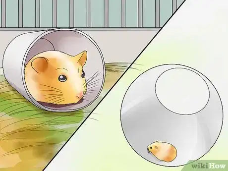 Image titled Pick up Your Hamster Step 15