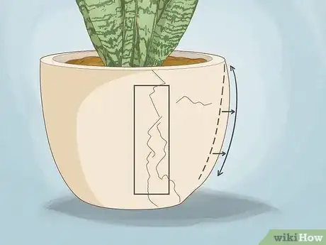 Image titled When to Repot Snake Plant Step 3