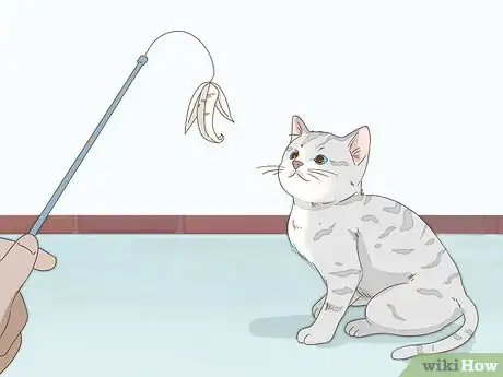 Image titled Get Your Cat to Purr Step 7