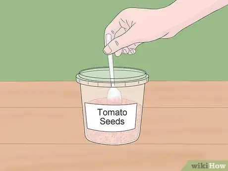 Image titled Grow Tomatoes from Seeds Step 5
