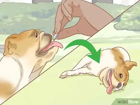 Image titled Determine Benadryl Dosage for Dogs Step 4