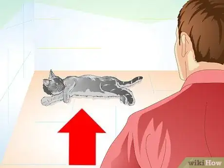 Image titled Care for Your Cat After Neutering or Spaying Step 1
