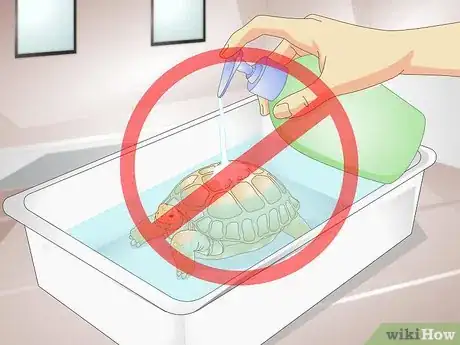 Image titled Bathe a Tortoise Step 11